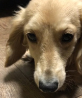 364 x 436 x 57,215�o�C�g