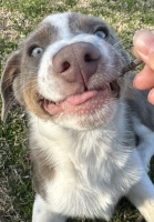 642 x 924 x 277,153�o�C�g �����̉摜�͑傫���̂ŕʉ�ʂŕ\�����܂���