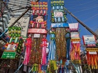 430 x 323 x 202,897oCg