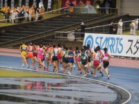 525 x 393 x 116,079oCg