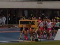 525 x 393 x 78,127oCg