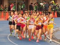 525 x 393 x 123,608oCg