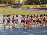 525 x 393 x 121,752oCg