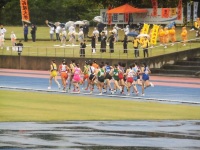 525 x 393 x 116,066oCg