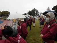 525 x 393 x 99,032oCg