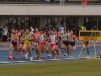 525 x 393 x 84,527oCg