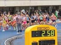 525 x 393 x 111,812oCg