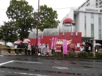 525 x 393 x 125,231oCg