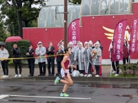 525 x 394 x 119,279oCg