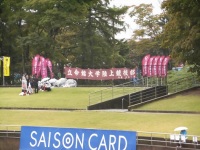 525 x 393 x 122,045oCg