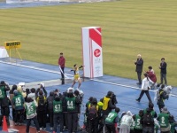 525 x 394 x 88,738oCg