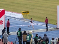 525 x 394 x 79,606oCg