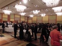 525 x 393 x 101,484oCg