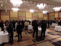 525 x 393 x 104,287oCg