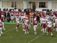 525 x 393 x 111,761�o�C�g