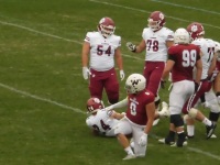 525 x 393 x 83,446�o�C�g