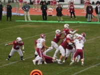 525 x 393 x 108,827�o�C�g