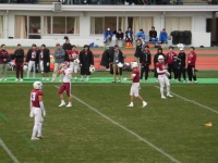 525 x 393 x 105,585�o�C�g