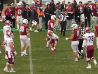 525 x 393 x 114,421oCg