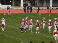 525 x 393 x 101,995oCg