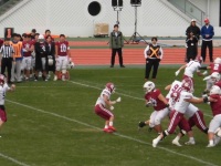 525 x 393 x 104,347oCg