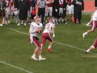 525 x 393 x 86,374oCg