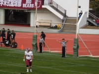 525 x 393 x 94,041oCg