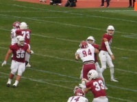 525 x 393 x 87,610oCg