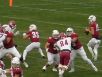 525 x 393 x 92,896oCg