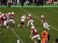 525 x 393 x 106,179oCg