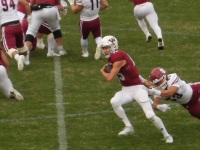 525 x 393 x 90,637oCg