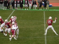 525 x 393 x 96,344oCg