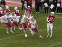 525 x 393 x 99,684oCg