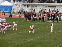 525 x 393 x 116,321oCg