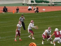 525 x 393 x 88,682oCg