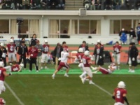 525 x 393 x 83,010oCg