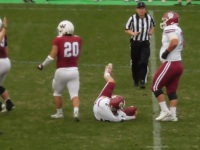 525 x 393 x 72,323oCg