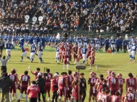 525 x 393 x 173,624�o�C�g