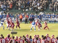 525 x 393 x 155,146�o�C�g