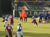 525 x 393 x 107,197�o�C�g