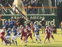 525 x 393 x 118,535�o�C�g