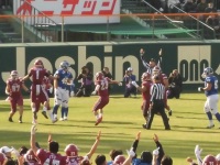 525 x 393 x 111,167�o�C�g