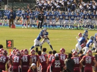 525 x 393 x 152,130�o�C�g