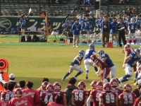 525 x 393 x 136,231�o�C�g