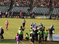 525 x 393 x 141,936�o�C�g