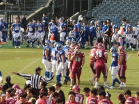 525 x 393 x 151,378�o�C�g