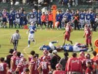 525 x 393 x 143,615�o�C�g