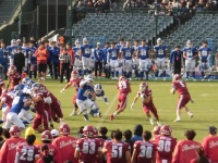 525 x 393 x 143,878�o�C�g