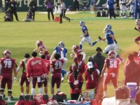 525 x 393 x 111,473�o�C�g