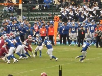 525 x 393 x 126,364�o�C�g